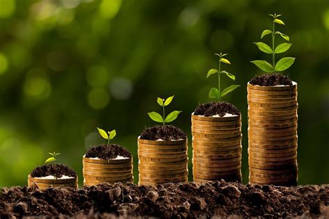 Unlocking Prosperity: The Currency Magic Auspicious Tree Method